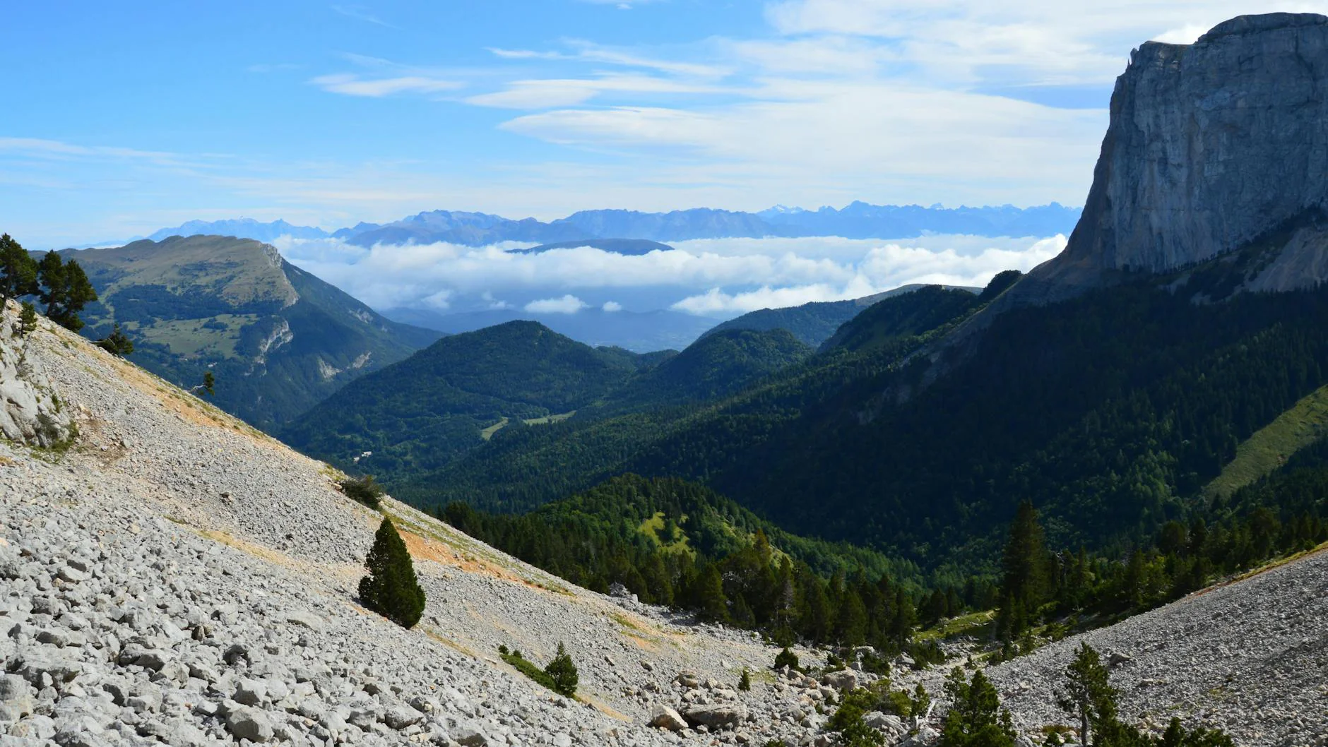 Abschaffung des Eigenmietwerts: Das sind die acht wichtigsten Fragen und Antworten für Wohneigentümer – und für solche, die es werden wollen