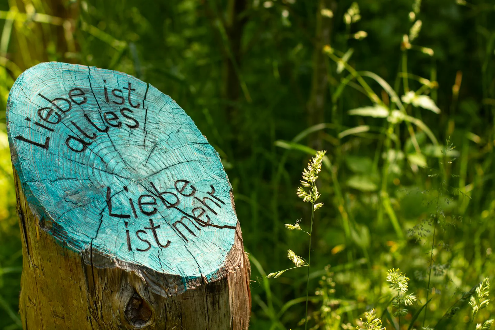 Wasserstoff: Warum die Anlageidee wieder investierbar ist