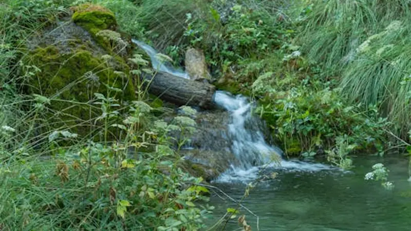 Blockchain in der öffentlichen Infrastruktur: Wie die UNDP Innovationen für den Schweizer Finanzsektor nutzen kann