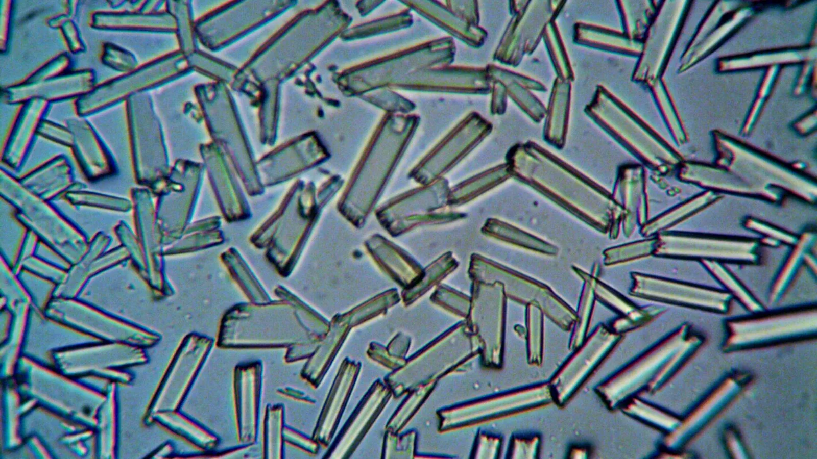 In-Situ Growth of Halide Perovskite Single Crystals and Thin Films on Optical Fiber End Facets