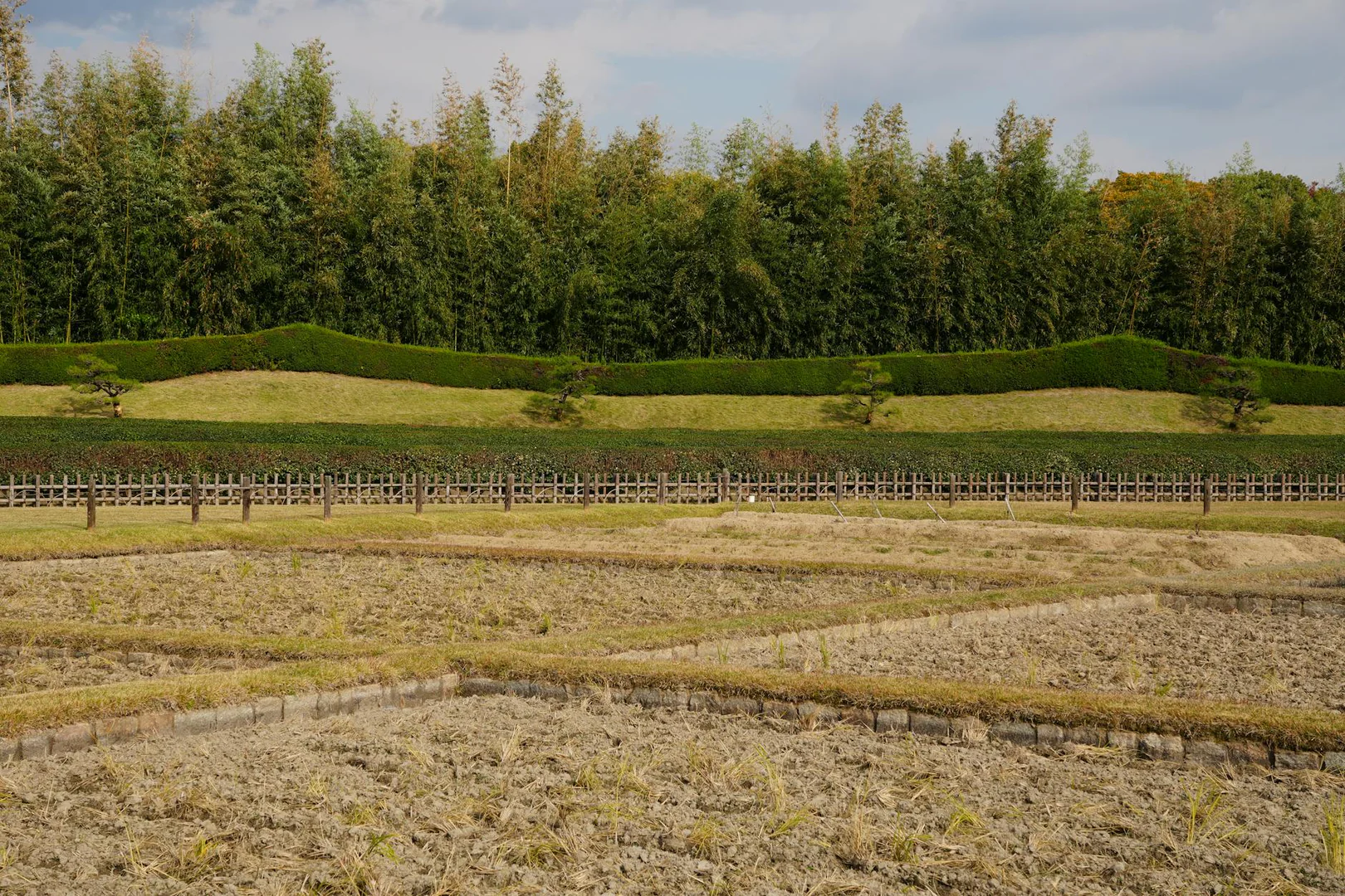 Japans Zinsen schiessen hoch, Profis platzieren Hedges
