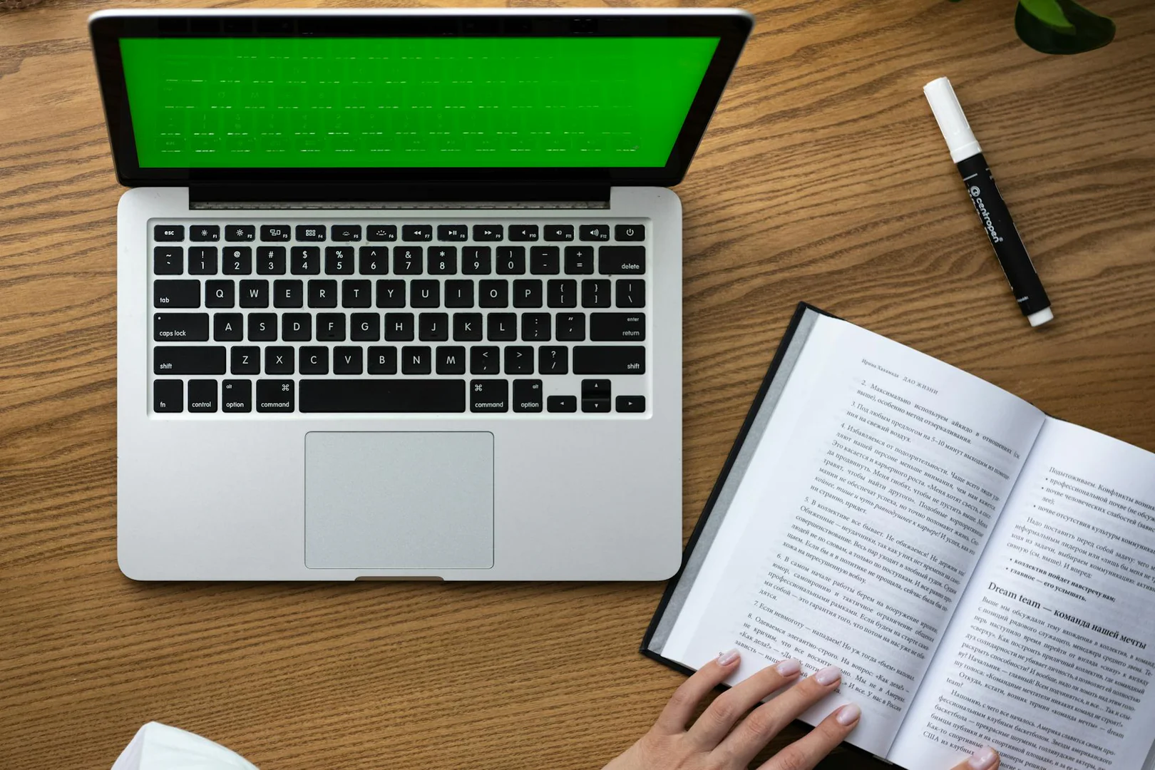 Online Learning and Equilibrium Computation with Ranking Feedback