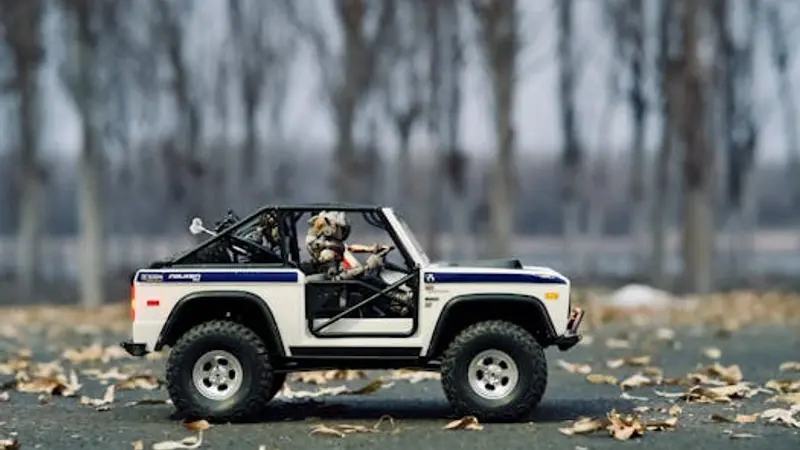 Zippay in Irland: Was die Bankenallianz gegen Revolut für Schweizer Finanzinstitute bedeutet